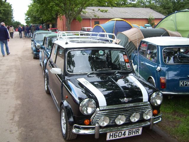 imm_den2007_63.jpg