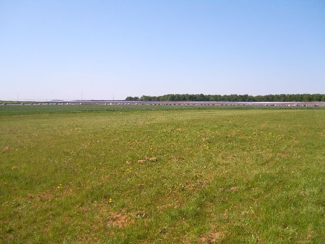 imm_hol2008_49.jpg